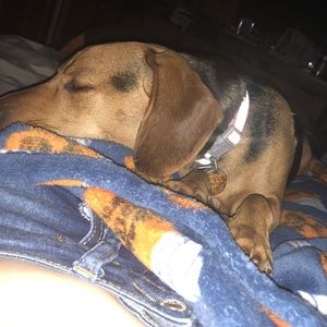 Meet your Posher, Mackenzie